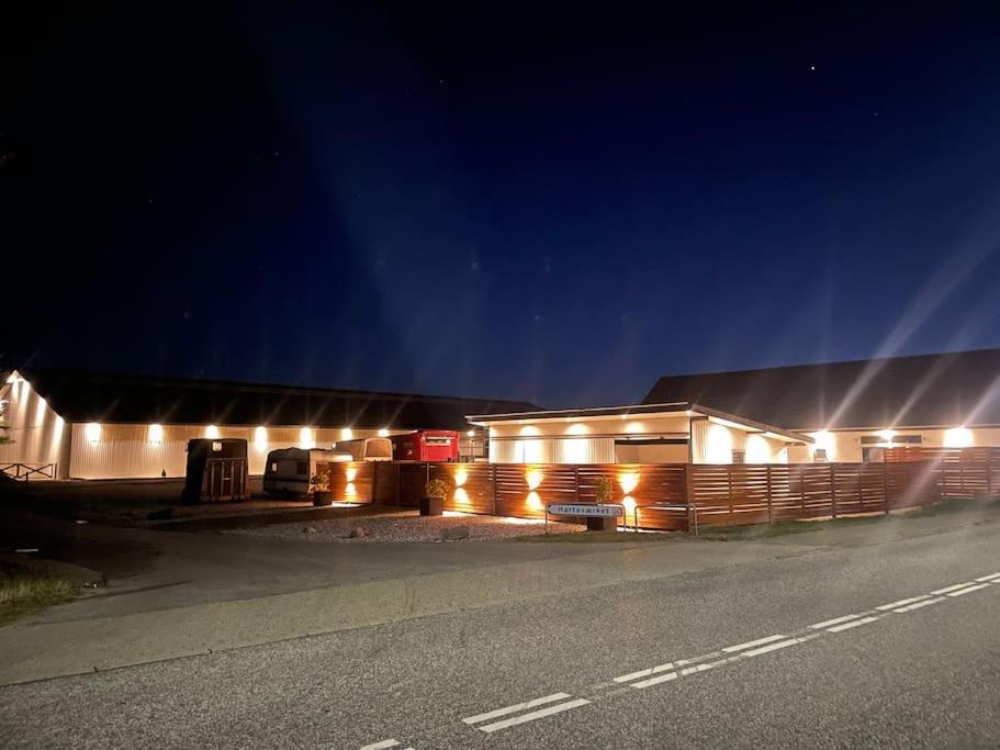 Stor Rummelig Lejlighed Med Egen P-Plads Kolding Buitenkant foto